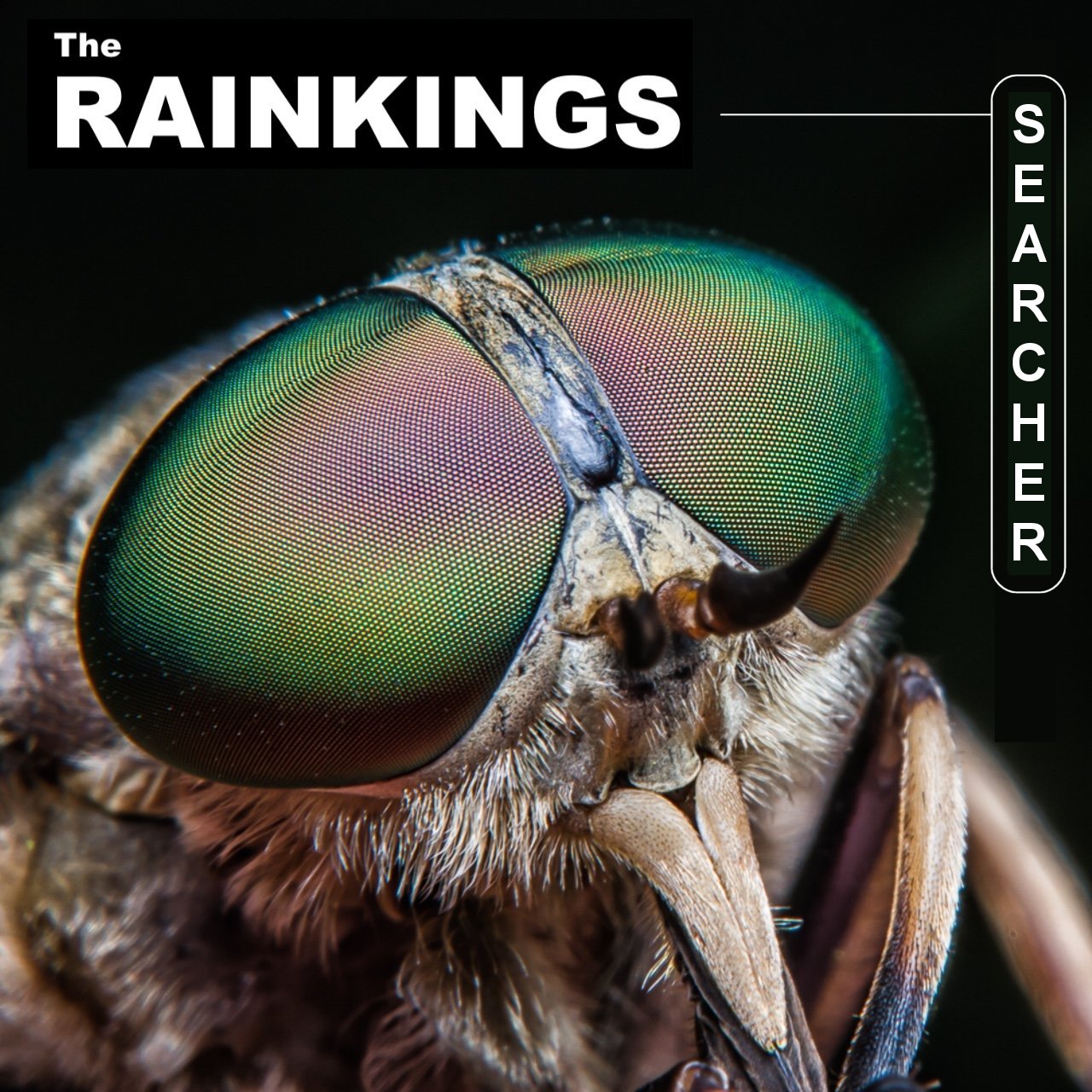 Searcher
